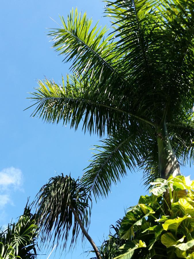 Ostello Rancho Tranquilo Tulum Esterno foto